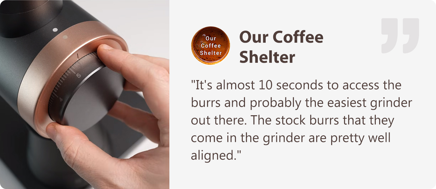 Gevi GrindMaster: Ultimate Stepless Coffee Grinder by Gevi Home 