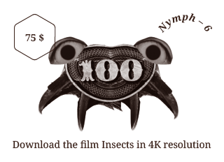 The last film by Jan Švankmajer: Insects by Jan Svankmajer - Indiegogo