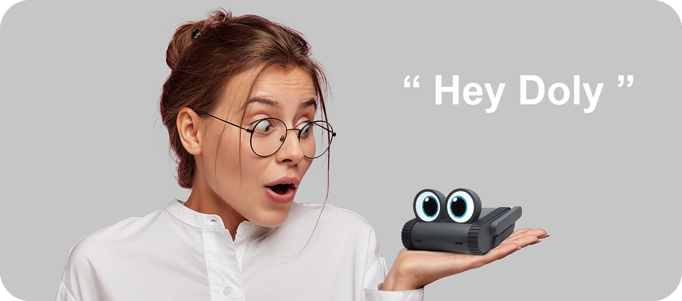 Meet Doly - Your New Robotic Best Friend by Limitbit - Indiegogo