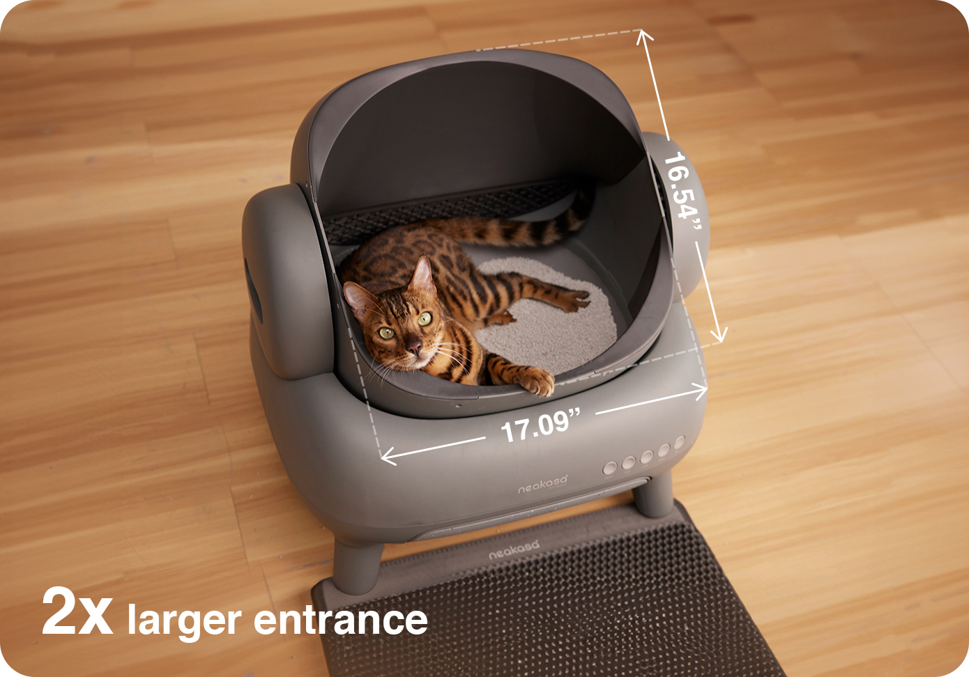 best cat litter box available Oversized 304 Stainless Steel Litter Box  Cattasaurus