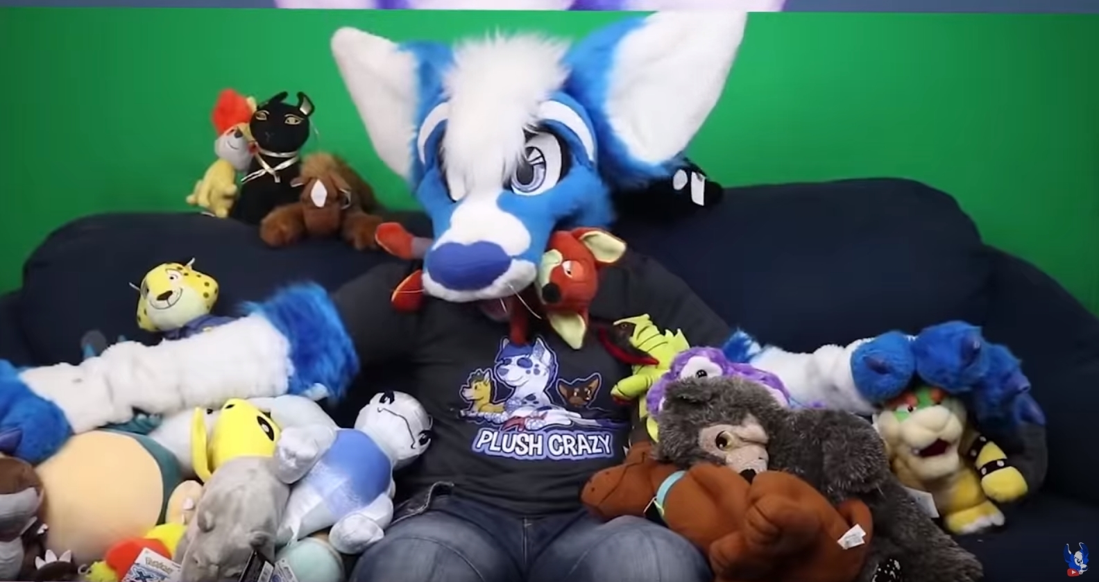 Ppcari Roo Pocari Roo Saves the Kitties by Tail Fluff Creations - Indiegogo