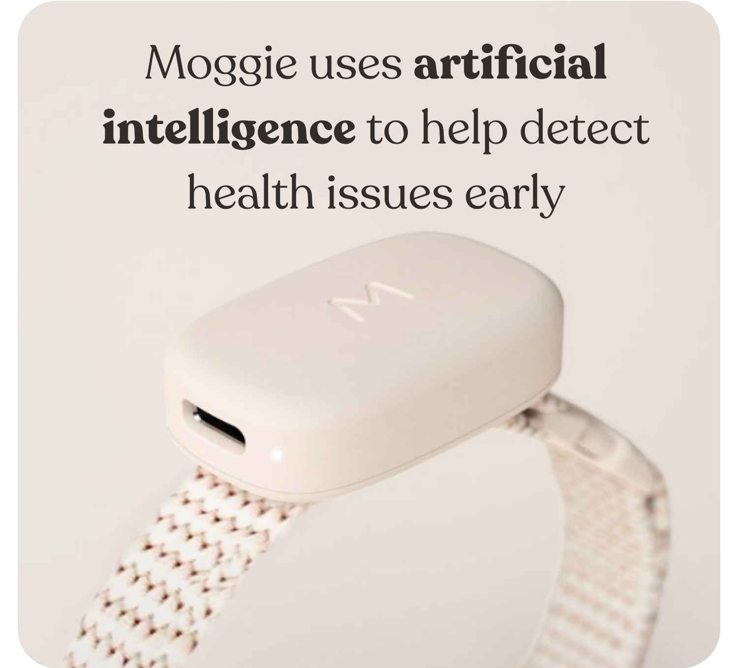 Moggie: the smart wearable device for cats by Moggie - Indiegogo