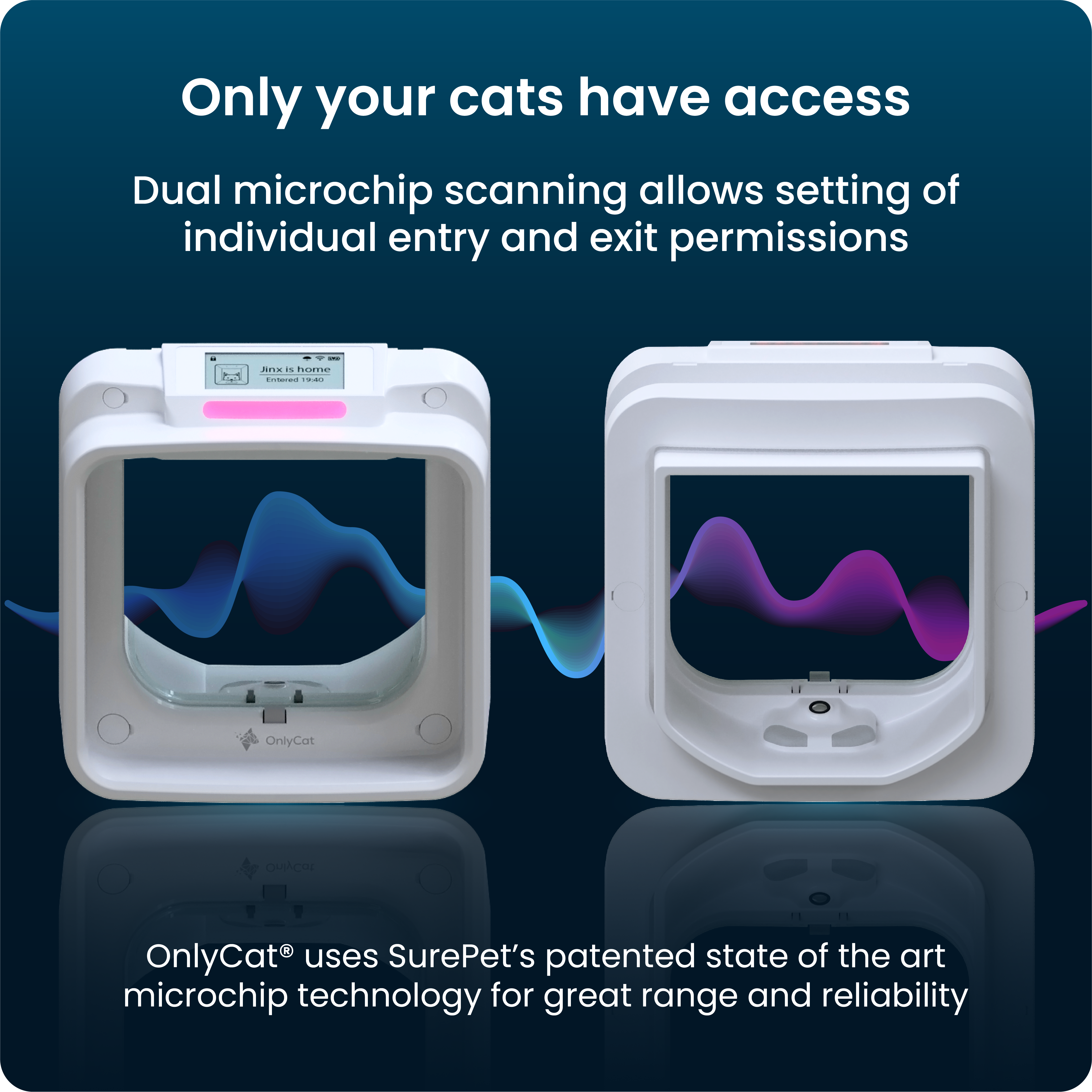 OnlyCat - The World's Smartest Cat Flap by OnlyCat Team - Indiegogo