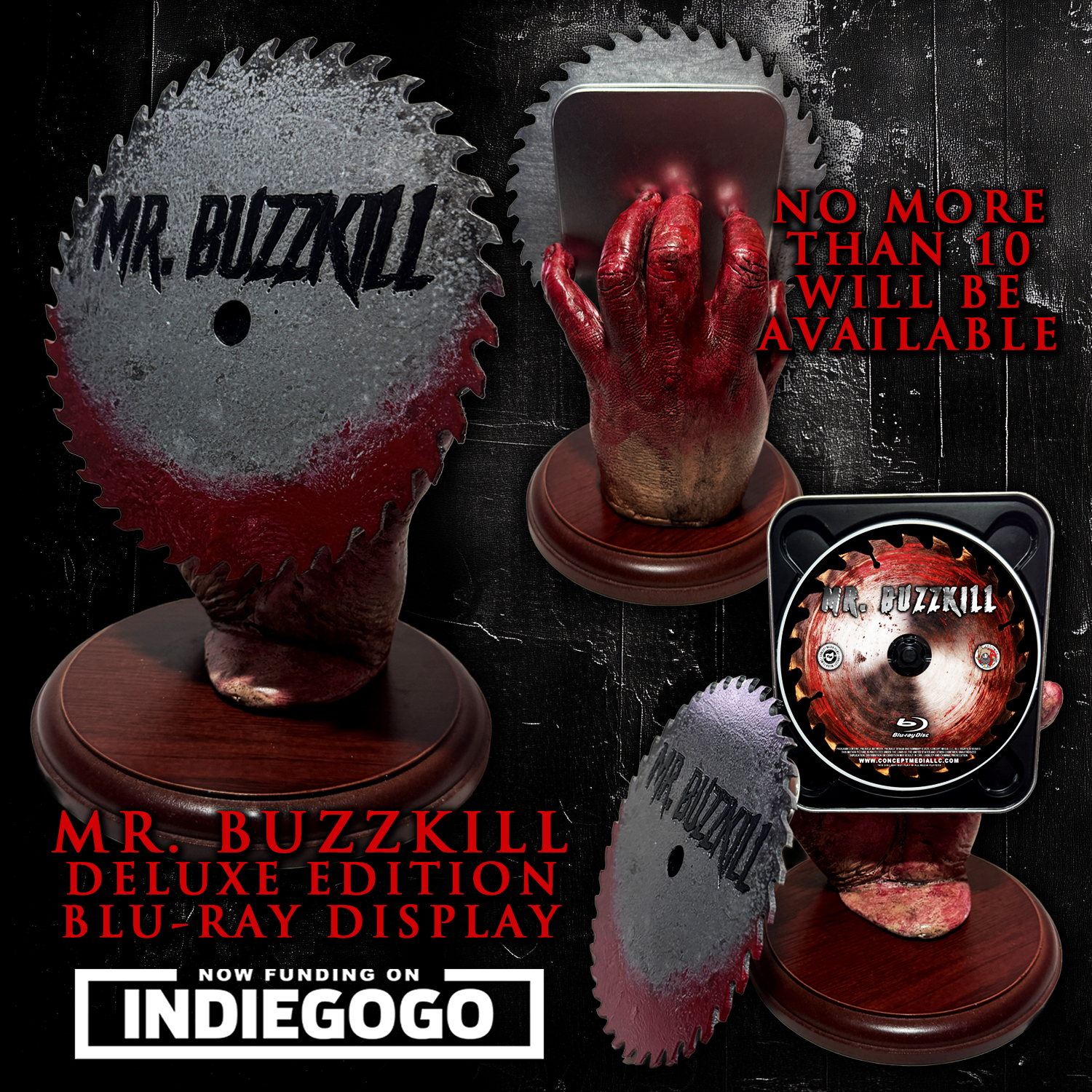 MR. BUZZKILL: Finshing Funds by Shawn Burkett - Indiegogo