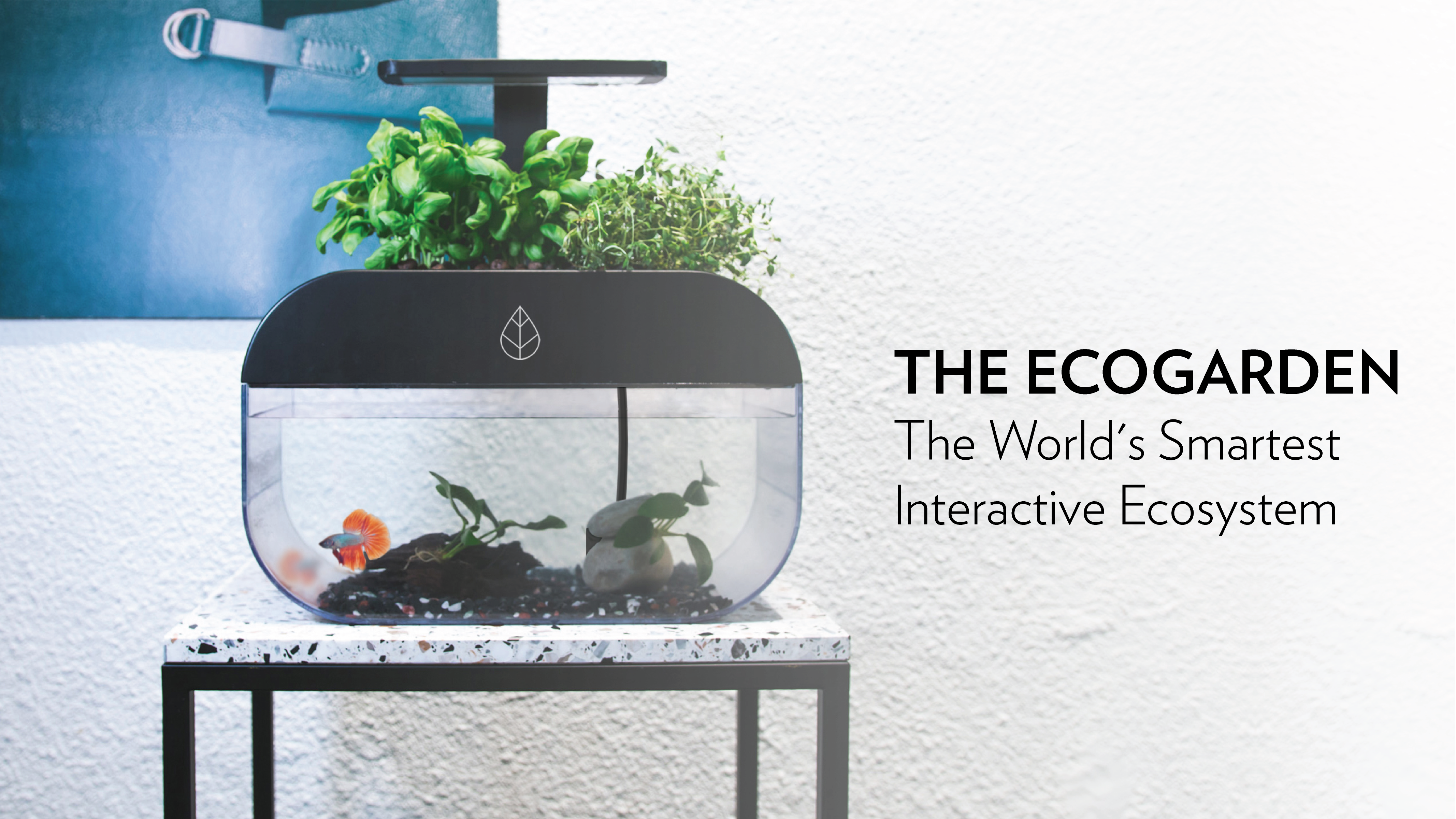 Ecosystem Interactive EcoGarden: World's Smartest Interactive Ecosystem by Ecobloom - Indiegogo