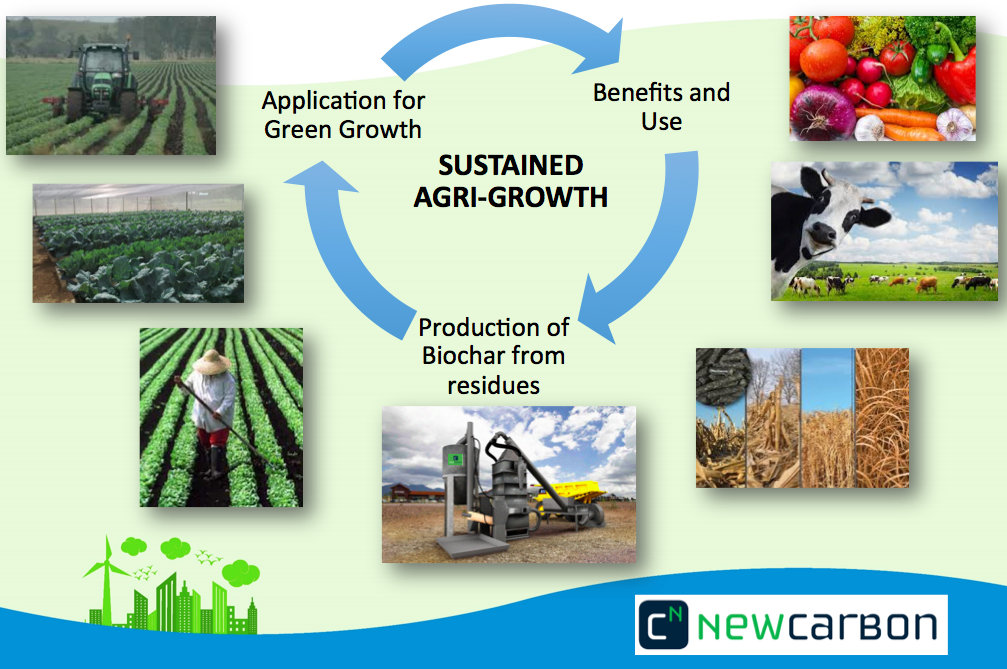 NEW CARBON BIOCHAR INNOVATION by Marius van der Merwe - Indiegogo
