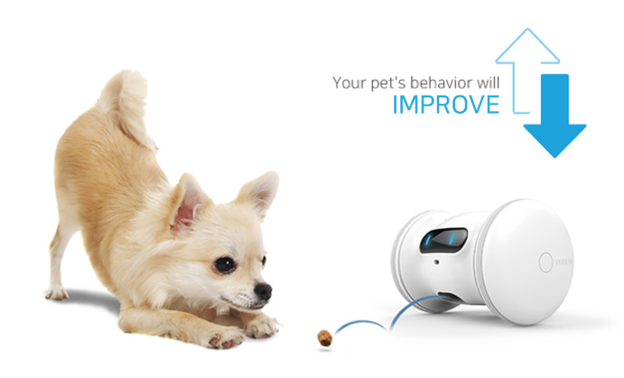 A Smart Robot For Your Pet - VARRAM by VARRAM - Indiegogo
