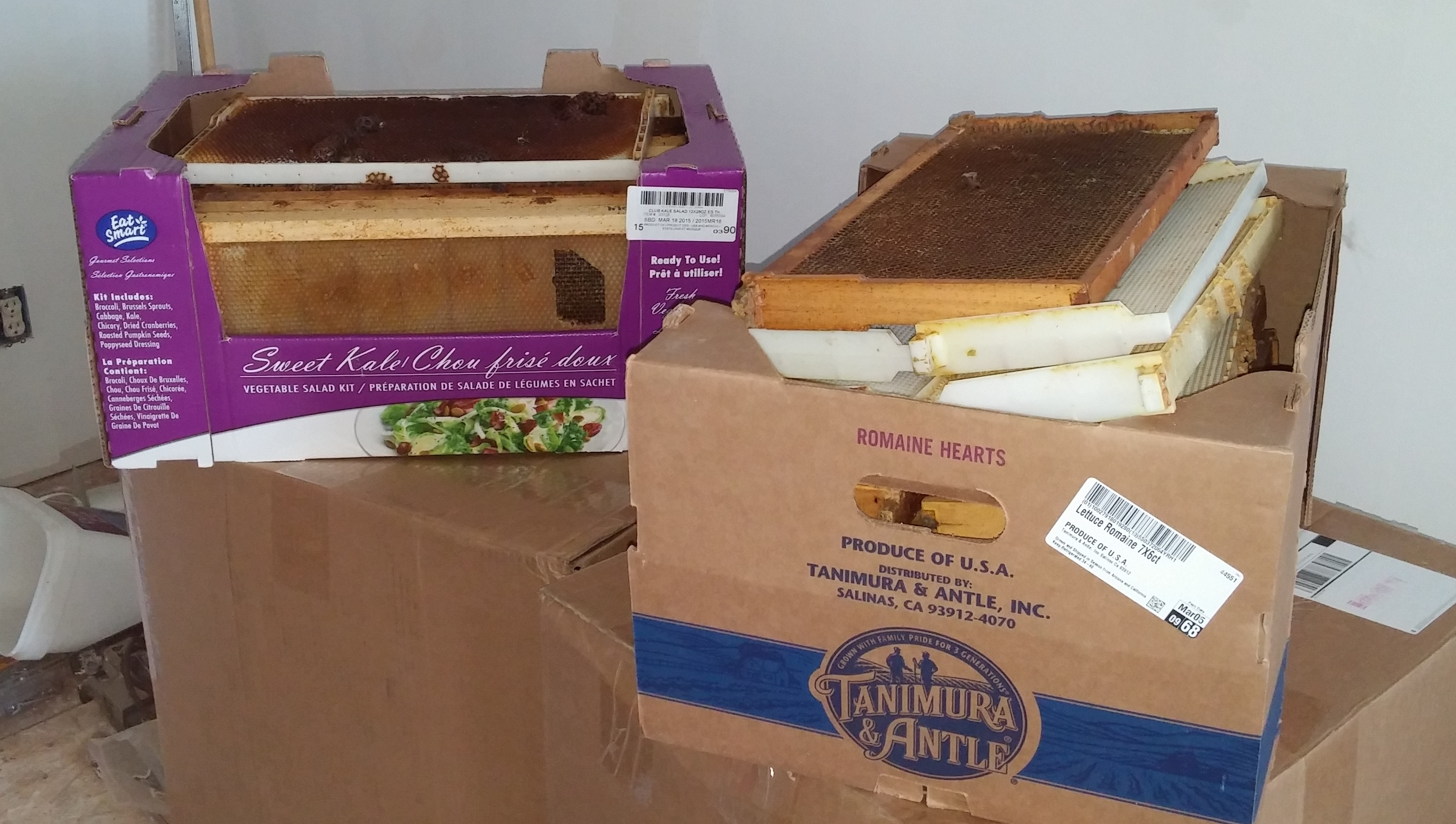 Hive Butler, Honey Season is Here! by 2 Queen Bees, LLC - Indiegogo